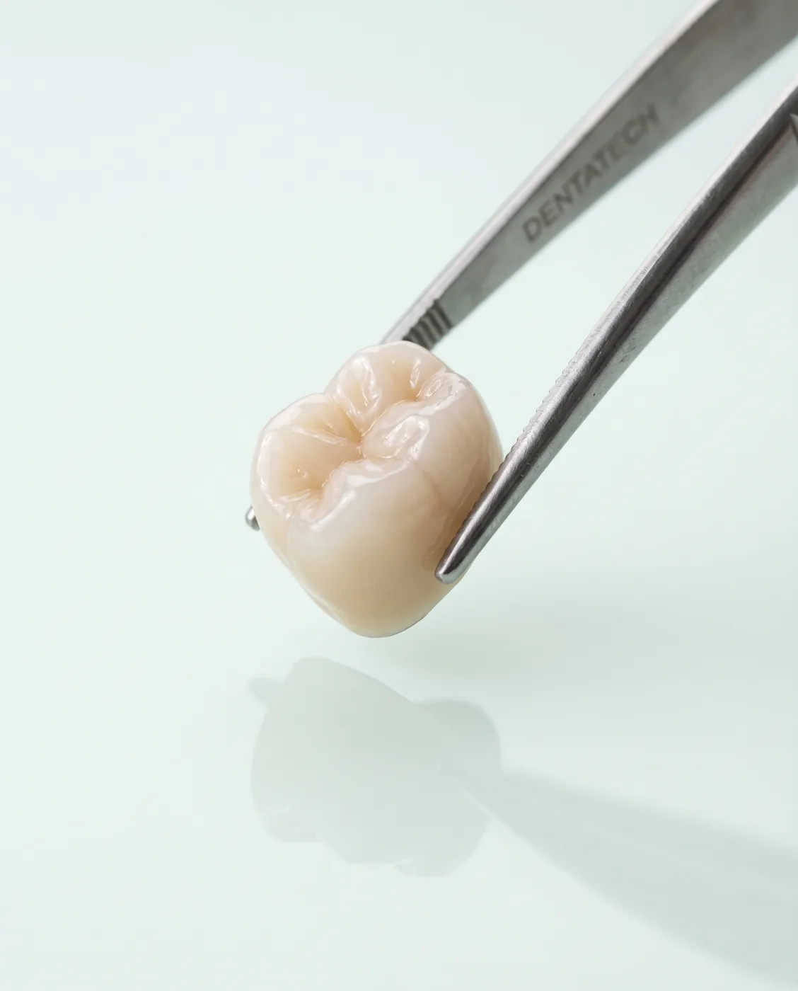 Porcelain dental crown held in dental tweezers at Yonge Forest Dental