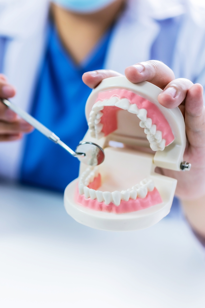 Dentist demonstrating oral surgery technique using a dental model at Yonge Forest Dental in Barrie